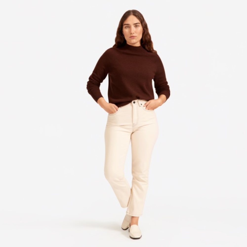 Everlane The Cashmere Raglan Mockneck in Brown
